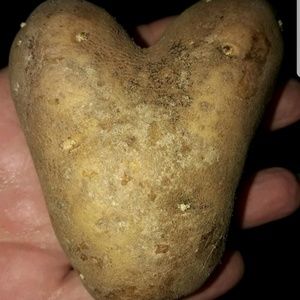 Meet your Posher, Legacy